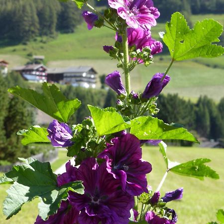 Haus Panoramablick Apartment Kals am Grossglockner Luaran gambar
