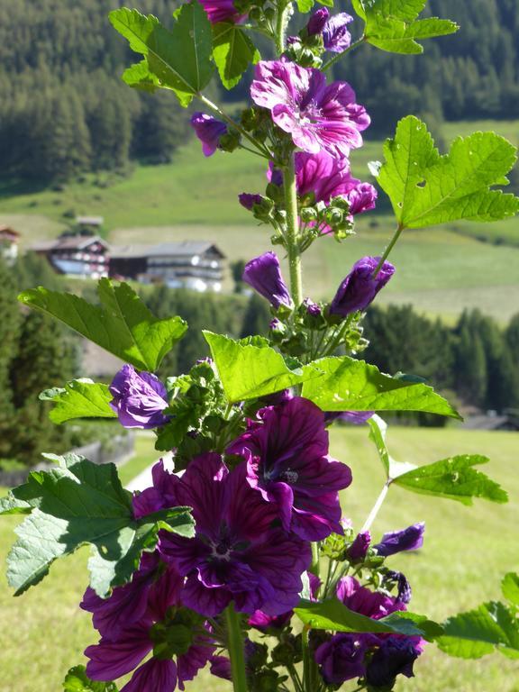 Haus Panoramablick Apartment Kals am Grossglockner Luaran gambar